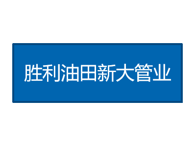 胜利油田新大管业